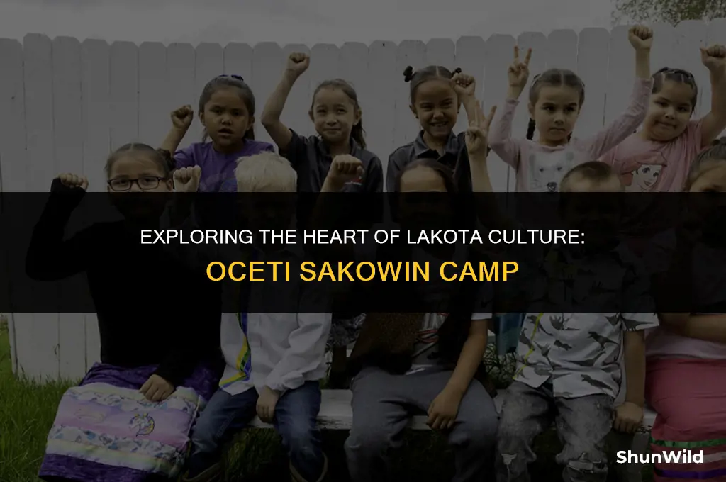 what is oceti sakowin camp