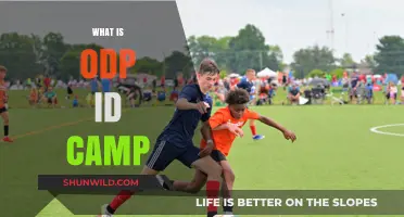 Decoding the Mysteries of ODP ID Camps: A Comprehensive Guide