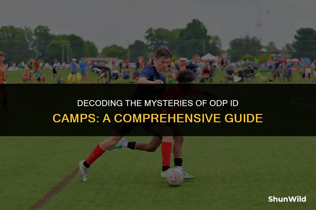 what is odp id camp