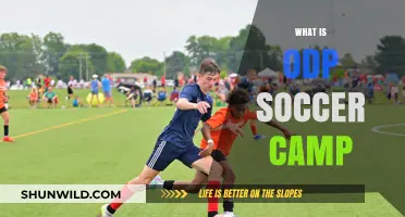 Unleash Your Potential: The Ultimate ODP Soccer Camp Experience