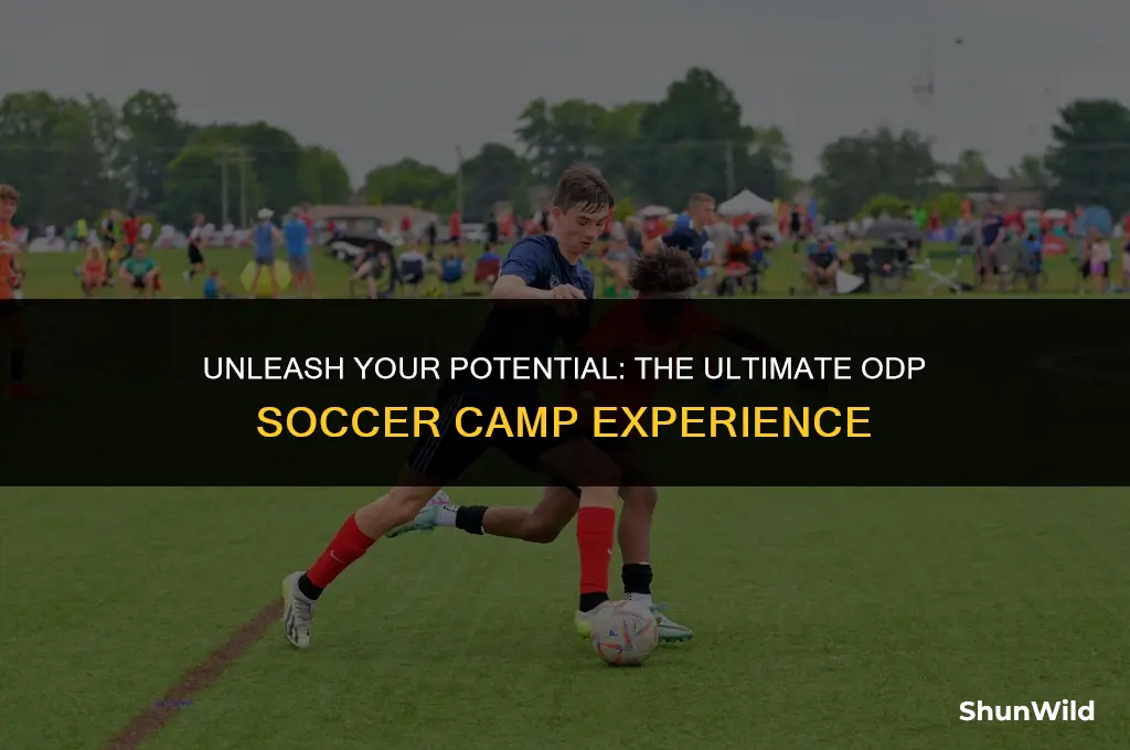what is odp soccer camp