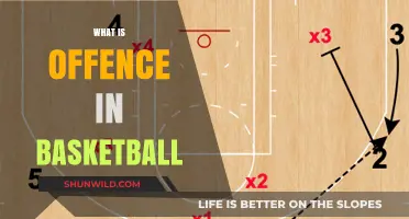 Understanding Basketball Offences: Strategies and Plays