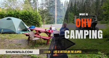 Exploring the Great Outdoors: A Beginner's Guide to OHV Camping