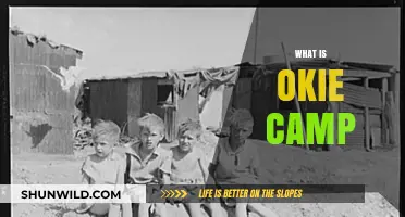Exploring the Traditions and Spirit of Okie Camp