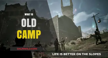 Exploring the Charm and History of Old Camp