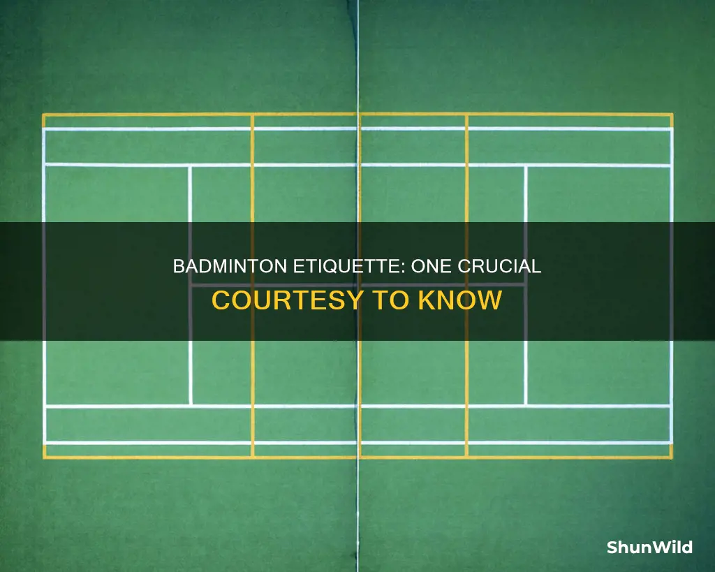 what is one playing courtesy in badminton