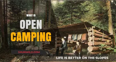 Exploring the Great Outdoors: A Beginner's Guide to Open Camping