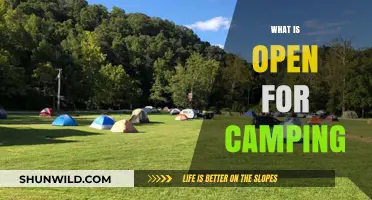 Discover the Great Outdoors: Camping Sites Open for Adventure