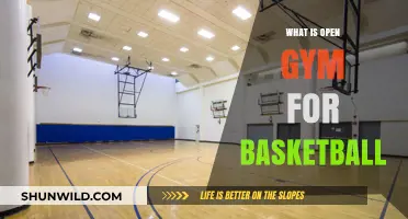 Open Gym Sessions: Basketball Practice for All