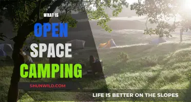Exploring the Great Outdoors: A Guide to Open Space Camping