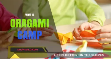 Unfolding Creativity: The Art and Joy of Origami Camp