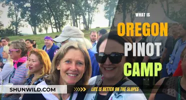 Exploring the Essence of Oregon Pinot Camp: A Wine Lover's Retreat