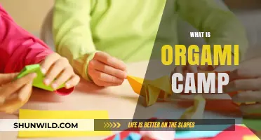 Unfolding Creativity: A Journey into the World of Origami Camp