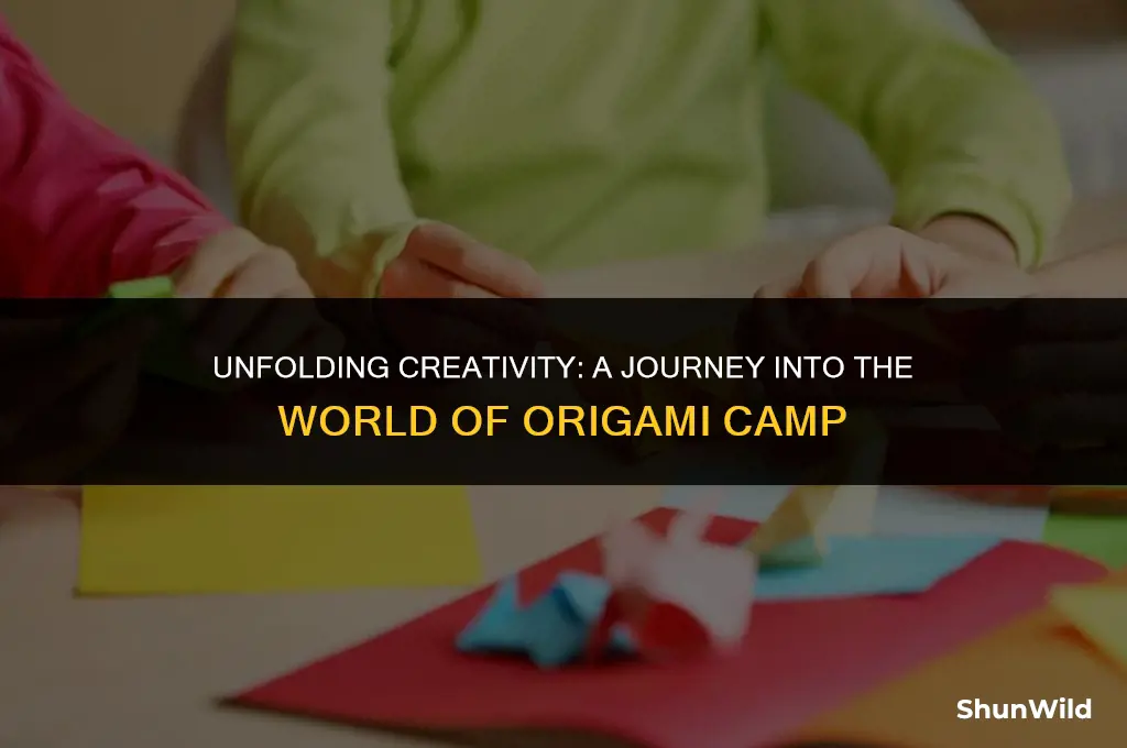 what is orgami camp