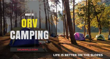 Exploring the Great Outdoors: A Beginner's Guide to ORV Camping