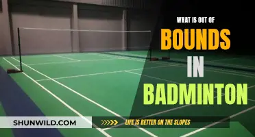Understanding Out-of-Bounds in Badminton