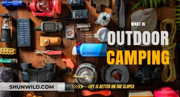 Exploring the Great Outdoors: A Beginner's Guide to Camping