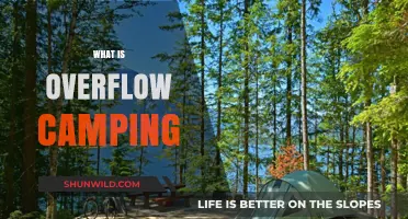 Exploring Overflow Camping: A Beginner's Guide to Spontaneous Outdoor Adventures