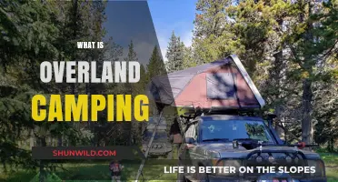 Exploring Overland Camping: Adventure, Gear, and Tips for Beginners
