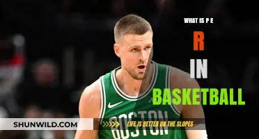 Understanding the Basics of PER in Basketball
