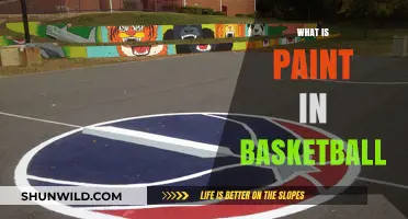 Understanding the Paint: Basketball's Restricted Area