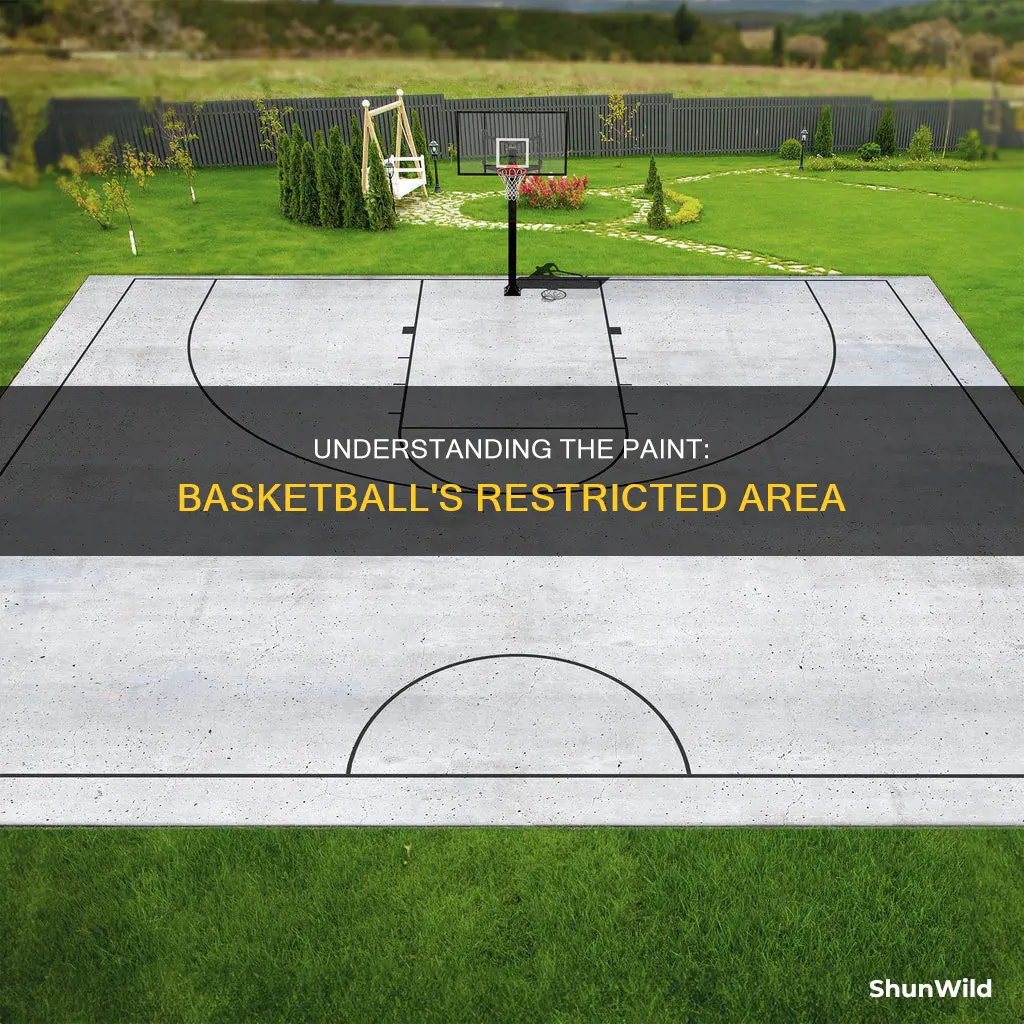 what is paint in basketball