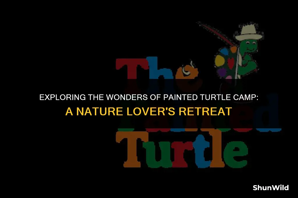 what is painted turtle camp