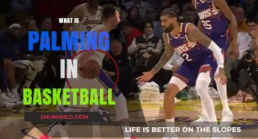 The Art of Palming in Basketball