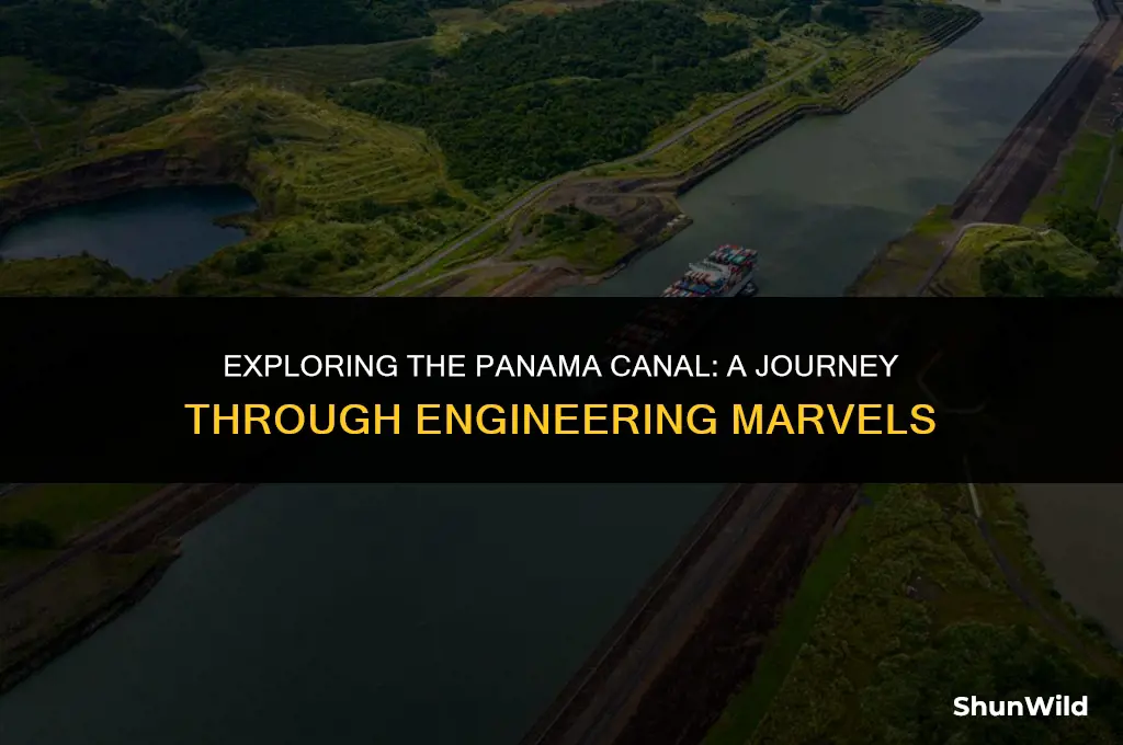 what is panama camp