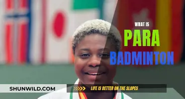 Para Badminton: A Sport for All