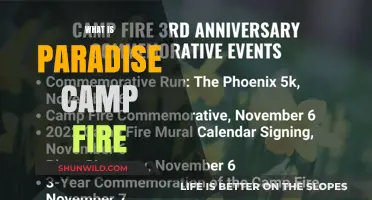 Exploring the Enchantment of Paradise Campfire Gatherings