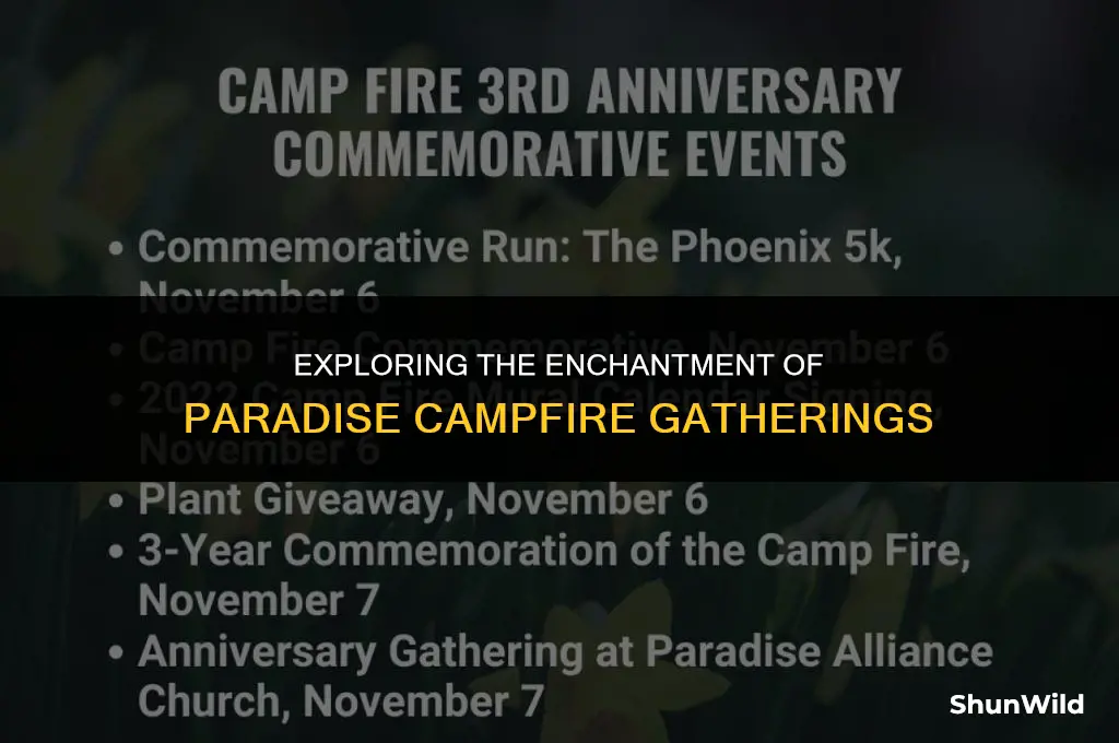 what is paradise camp fire