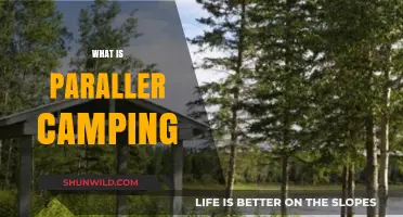 Exploring the Great Outdoors: A Guide to Parallel Camping