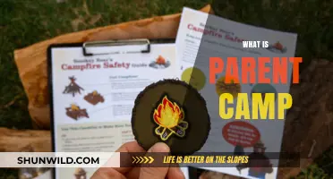 Exploring Parent Camp: A Journey into Family Bonding and Growth
