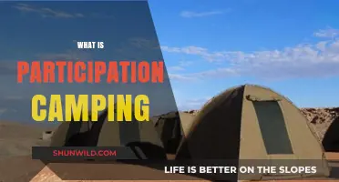 Exploring the Great Outdoors: A Beginner's Guide to Participation Camping
