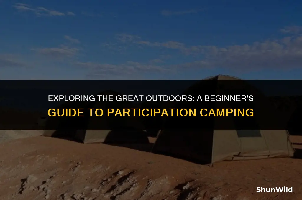 what is participation camping