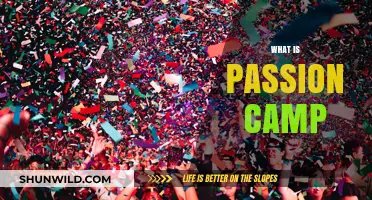 Exploring Passion Camp: Where Creativity Meets Community