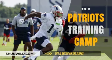 Exploring the Heart of Patriots Training Camp: A Comprehensive Guide