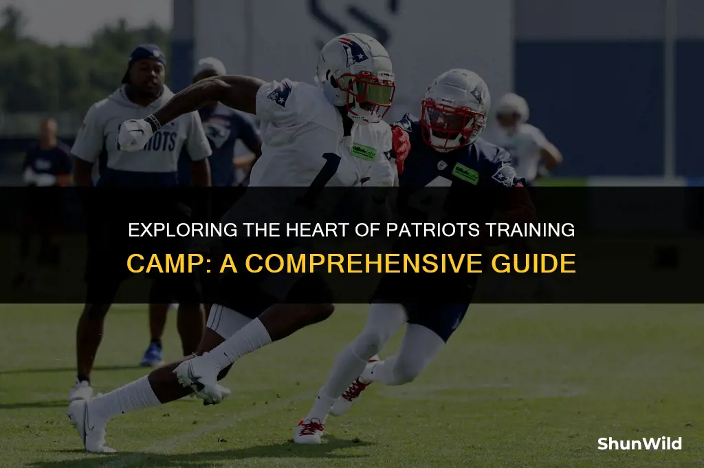 what is patriots training camp