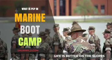 Understanding PCP: Marine Boot Camp's Physical Conditioning Program Explained