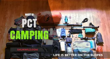 Exploring the Great Outdoors: A Beginner's Guide to PCT Camping