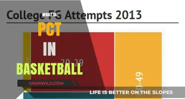 Understanding Basketball's PCT: A Key Metric