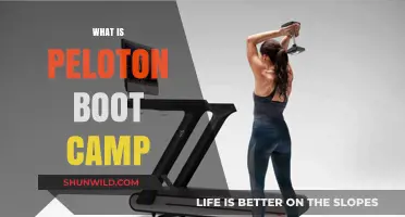 Peloton Boot Camp Explained: High-Intensity Workouts for Total Fitness