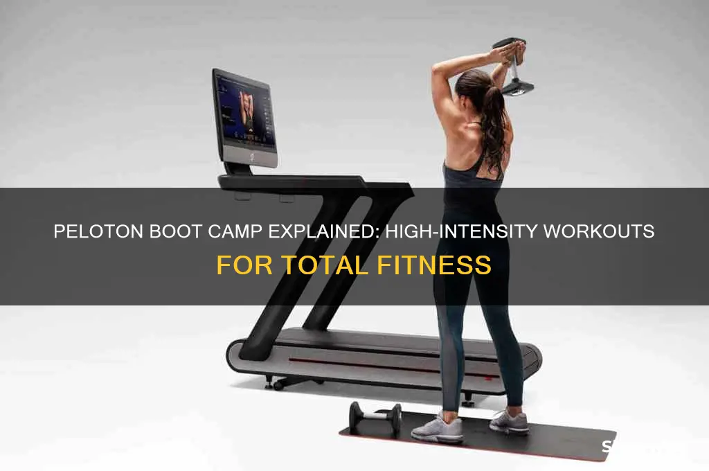 what is peloton boot camp