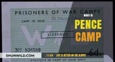 Exploring the Intricacies of Pence Camp: A Comprehensive Guide