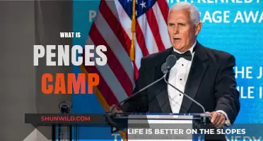 Decoding Mike Pence's Political Strategy: A Comprehensive Analysis