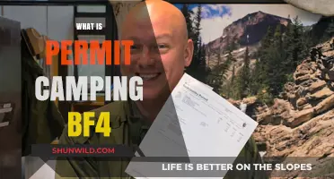 Exploring the Great Outdoors: A Guide to Permit Camping in Battlefield 4