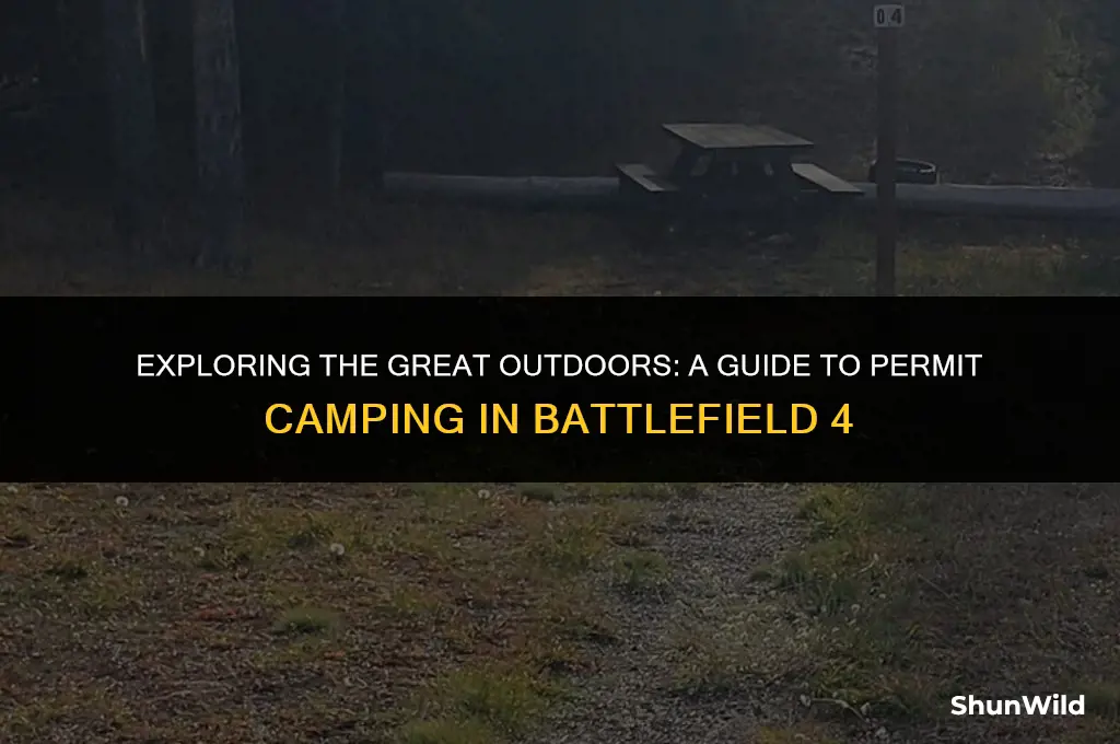 what is permit camping bf4