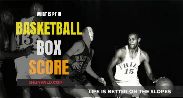 Understanding Basketball Box Scores: What Are Point-Forward Stats?