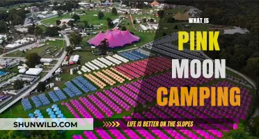 Under the Pink Moon: A Guide to Camping During Spring's Enchanting Full Moon